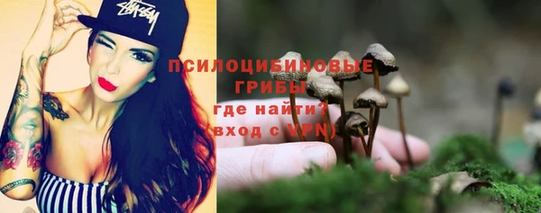 спайс Пролетарск