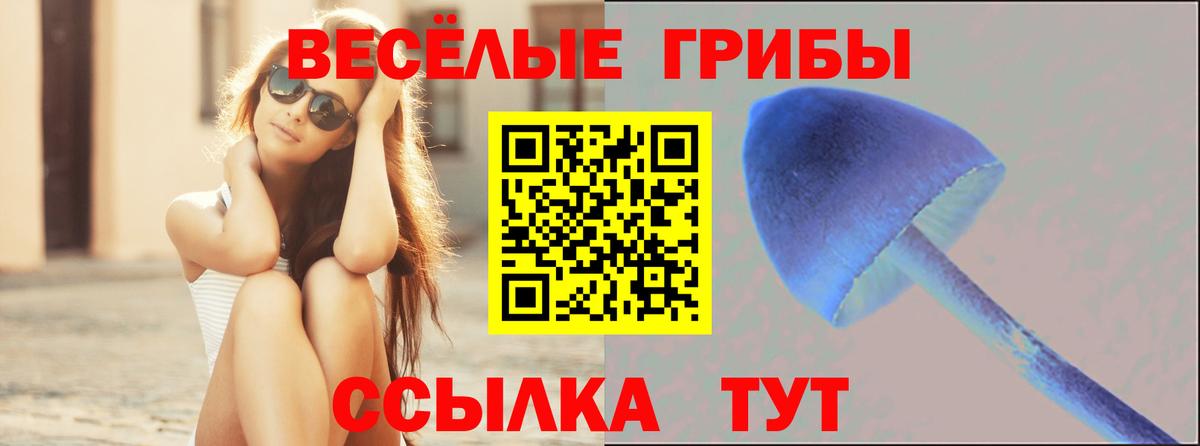 Славянск-на-Кубани  Псилоцибиновые грибы прущие грибы  Вход с VPN 